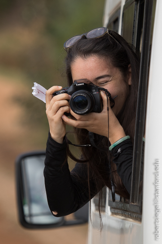 Lauren photographing